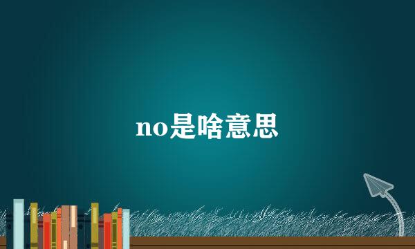 no是啥意思