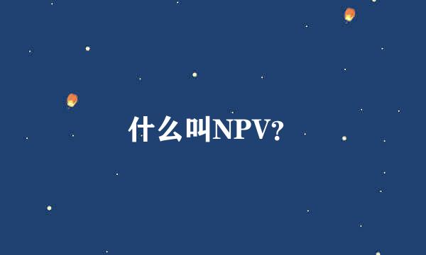 什么叫NPV？