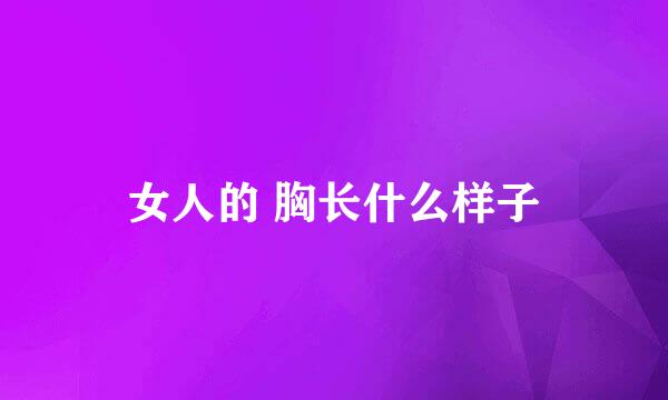 女人的 胸长什么样子