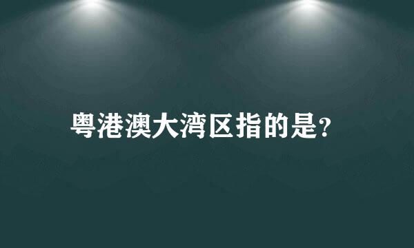 粤港澳大湾区指的是？