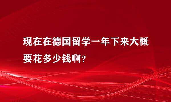 现在在德国留学一年下来大概要花多少钱啊？