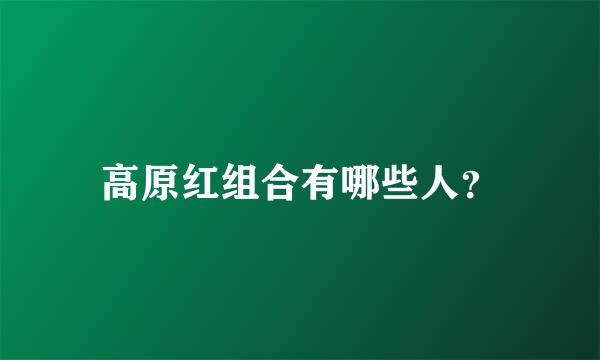 高原红组合有哪些人？