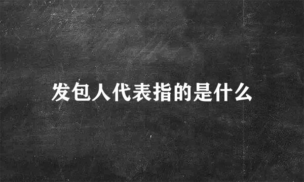 发包人代表指的是什么