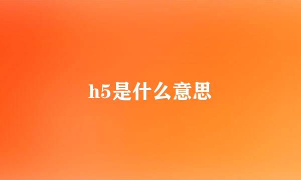 h5是什么意思