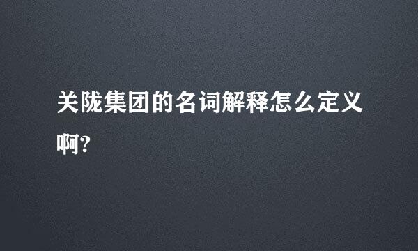 关陇集团的名词解释怎么定义啊?