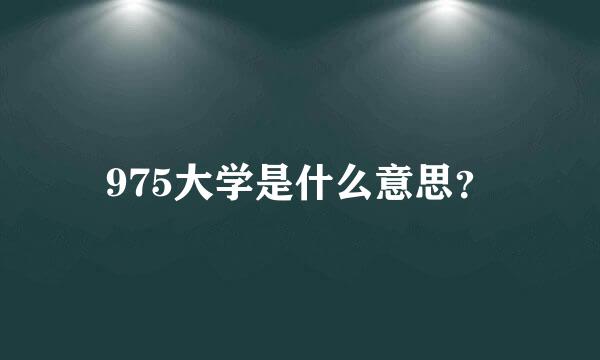 975大学是什么意思？