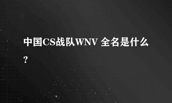 中国CS战队WNV 全名是什么？