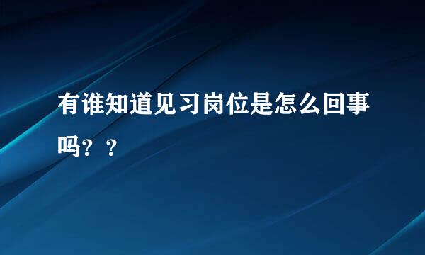 有谁知道见习岗位是怎么回事吗？？