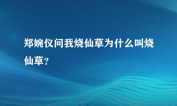 郑婉仪问我烧仙草为什么叫烧仙草？