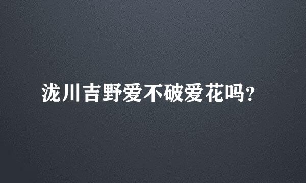 泷川吉野爱不破爱花吗？