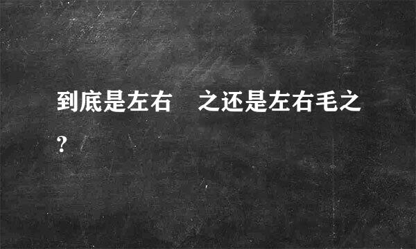 到底是左右芼之还是左右毛之？