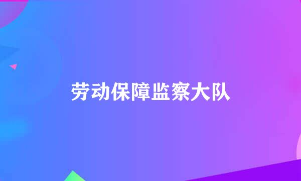 劳动保障监察大队