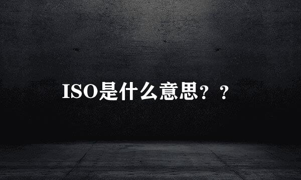 ISO是什么意思？？