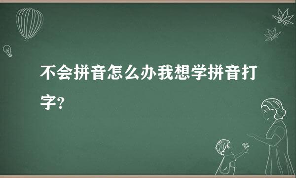 不会拼音怎么办我想学拼音打字？