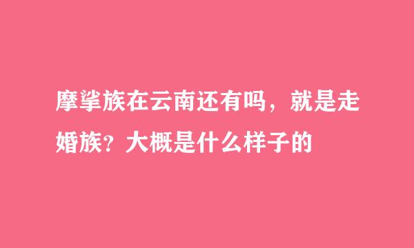 摩挲族在云南还有吗，就是走婚族？大概是什么样子的