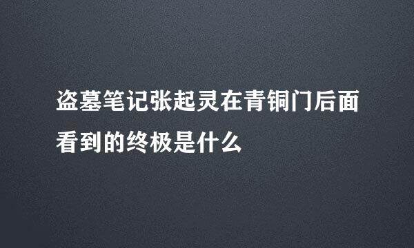 盗墓笔记张起灵在青铜门后面看到的终极是什么