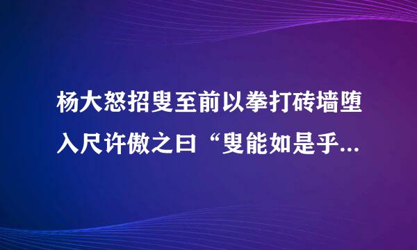 杨大怒招叟至前以拳打砖墙堕入尺许傲之曰“叟能如是乎？”这句话是甚么意思