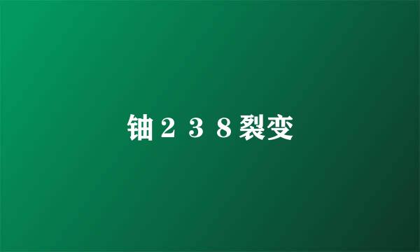 铀２３８裂变