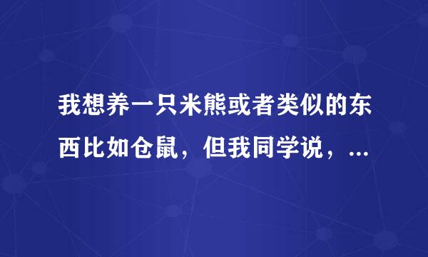 我想养一只米熊或者类似的东西比如仓鼠，但我同学说，仓鼠味道大，但是从没养过 请高手帮助，