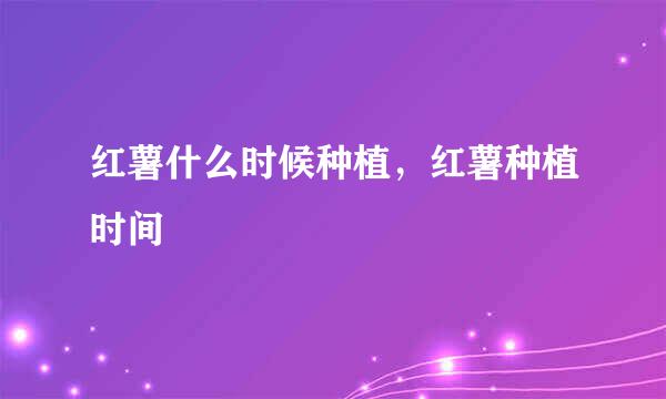 红薯什么时候种植，红薯种植时间