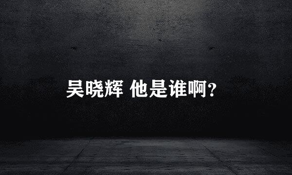 吴晓辉 他是谁啊？