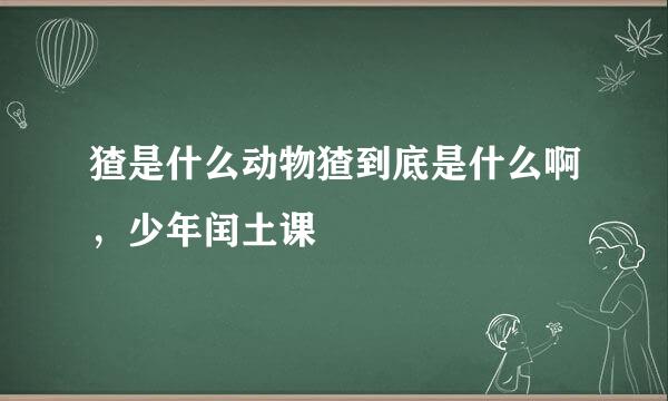 猹是什么动物猹到底是什么啊，少年闰土课