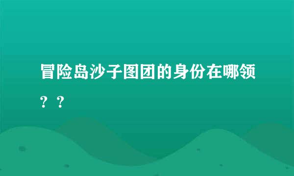 冒险岛沙子图团的身份在哪领？？