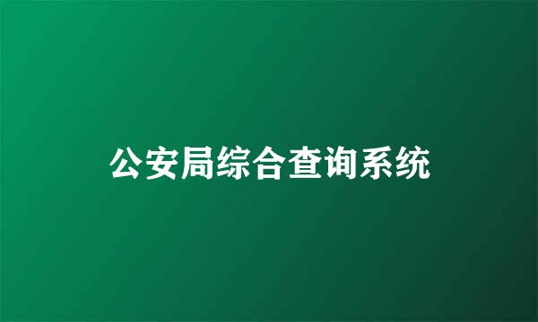 公安局综合查询系统