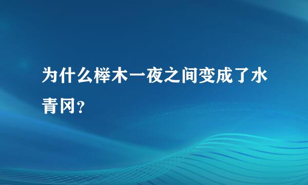 为什么榉木一夜之间变成了水青冈？