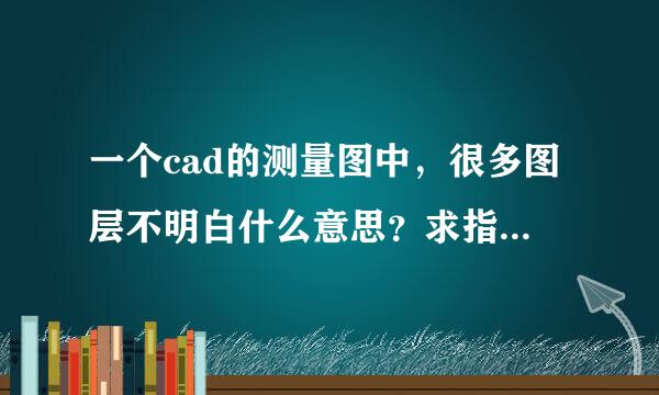 一个cad的测量图中，很多图层不明白什么意思？求指导！！地形图测量中的！例如，GCD代表高程点，其他的呢