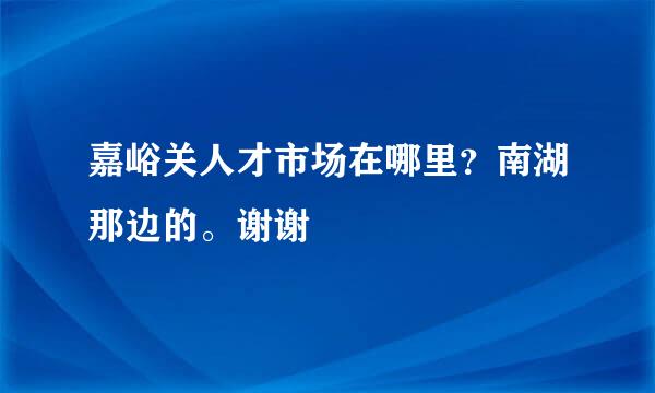 嘉峪关人才市场在哪里？南湖那边的。谢谢