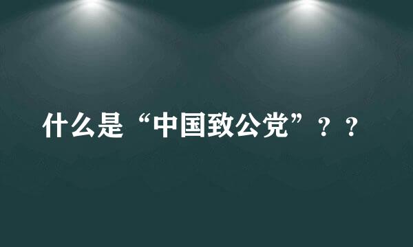 什么是“中国致公党”？？