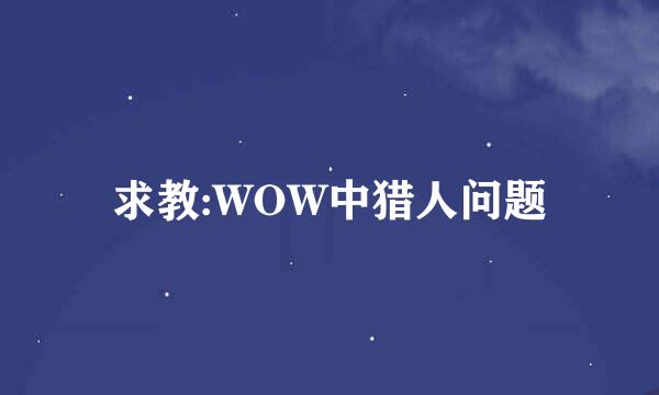 求教:WOW中猎人问题