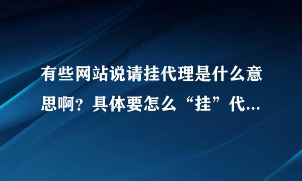 有些网站说请挂代理是什么意思啊？具体要怎么“挂”代理啊？说清楚点