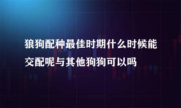 狼狗配种最佳时期什么时候能交配呢与其他狗狗可以吗