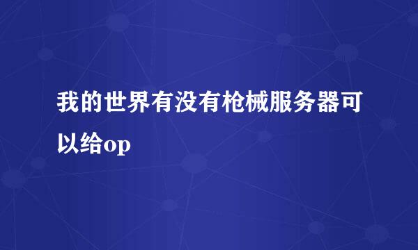 我的世界有没有枪械服务器可以给op