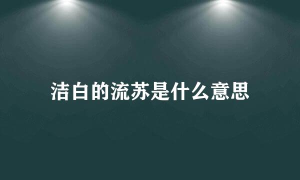 洁白的流苏是什么意思