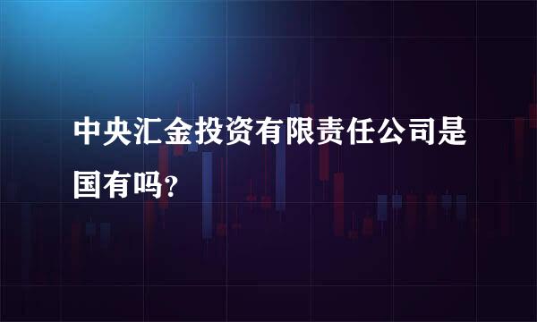 中央汇金投资有限责任公司是国有吗？