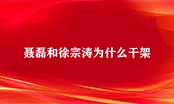 聂磊和徐宗涛为什么干架