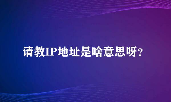 请教IP地址是啥意思呀？