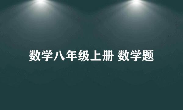 数学八年级上册 数学题