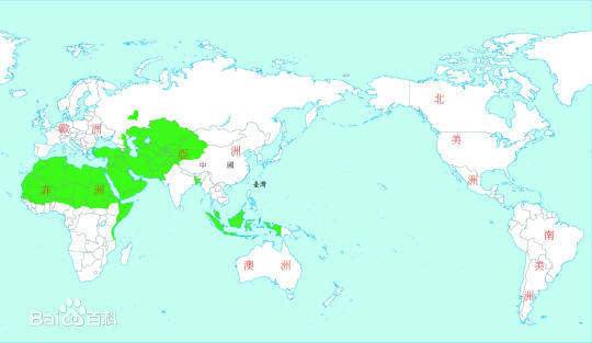伊斯兰国家，中东国家三者有何区别