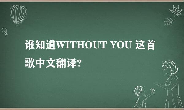 谁知道WITHOUT YOU 这首歌中文翻译?