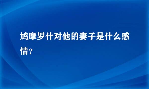 鸠摩罗什对他的妻子是什么感情？