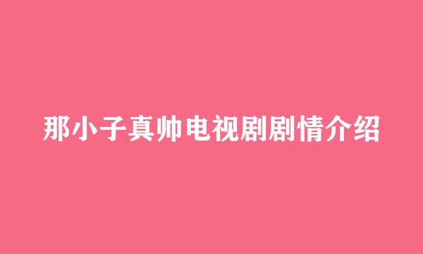 那小子真帅电视剧剧情介绍