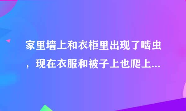 家里墙上和衣柜里出现了啮虫，现在衣服和被子上也爬上了，求怎么彻底消灭啊，急死了