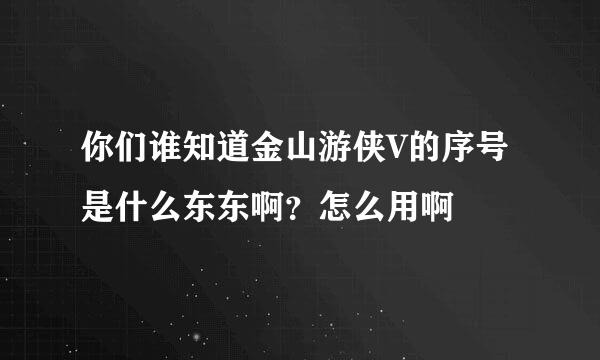 你们谁知道金山游侠V的序号是什么东东啊？怎么用啊