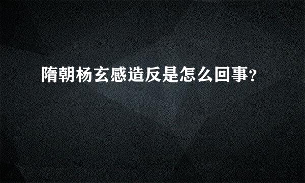 隋朝杨玄感造反是怎么回事？