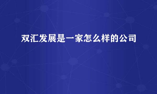 双汇发展是一家怎么样的公司