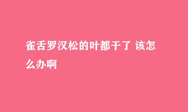 雀舌罗汉松的叶都干了 该怎么办啊